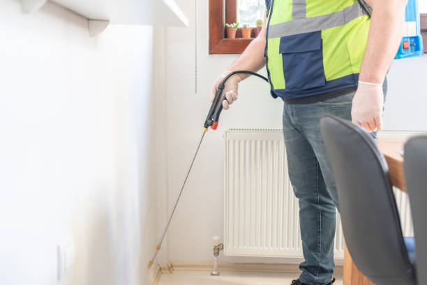 Best Local Pest Control Services  in Warrenton, GA