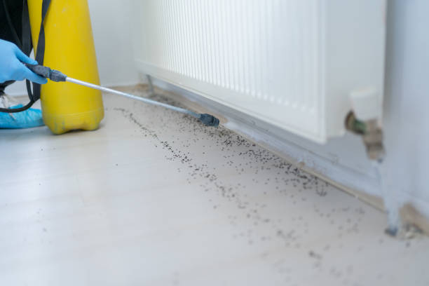 Best Rat Extermination Near Me  in Warrenton, GA