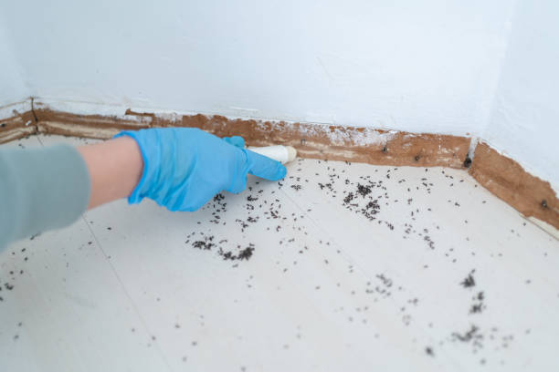 Best Affordable Pest Control Services  in Warrenton, GA