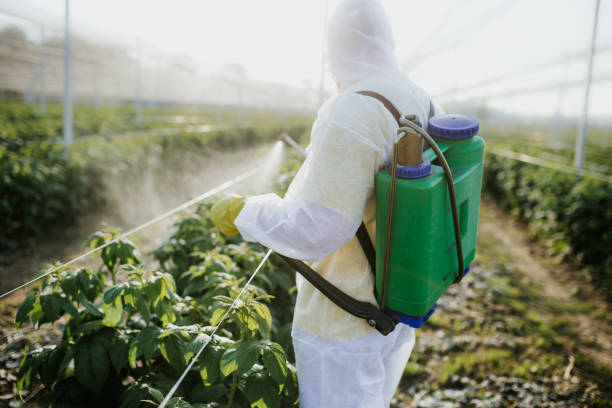 Wildlife Control Services in Warrenton, GA